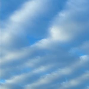 Meet your Posher, Ainsley